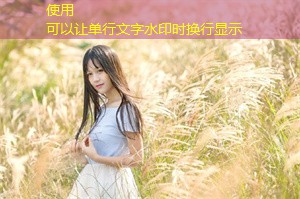 Urban Culture and Shanghai's Governance： Heritage and Innovation